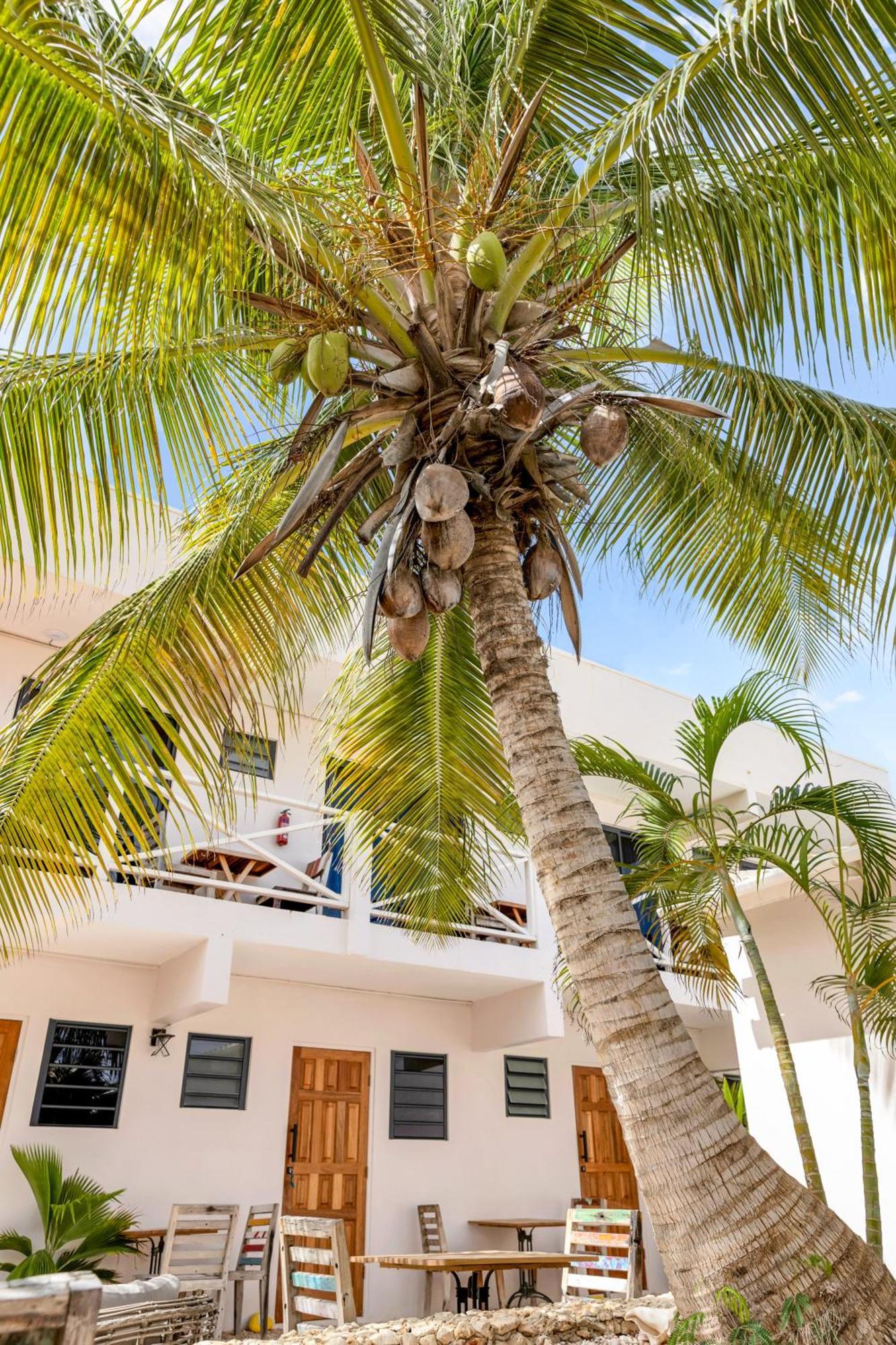 Hotel The Hut Bonaire Playa Exterior foto